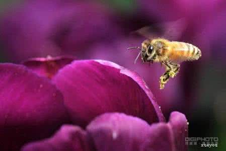 女人一分钟就能高潮 必修课之一分钟就能拍出好构图