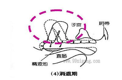 子宫全切全部过程视频 性爱过程中子宫变化的全过程