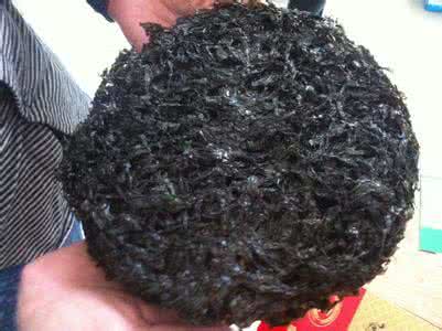 紫菜含塑料如何鉴别 紫菜含塑料如何鉴别 假紫菜和真紫菜的区别