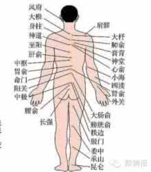 身上穴位大全
