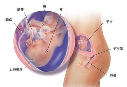 孕妇羊水破裂什么症状 孕妇羊水破裂什么症状 孕妈注意!怀孕晚期这样做很容易导致羊水破裂