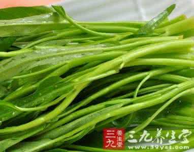 空心菜的功效与禁忌 空心菜的营养价值