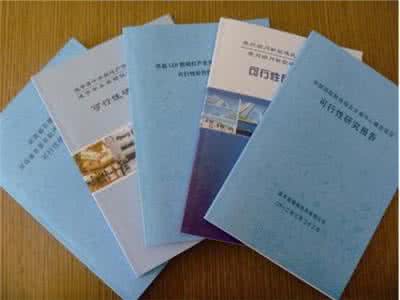 可行性研究报告编写 可行性研究报告模板 磷酸盐玻璃项目可行性研究报告编写格式及参考(模板word)