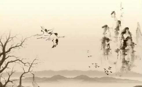 楚人美最后怎么释怀的 释怀的境界