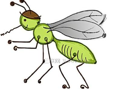 宝宝夏天防蚊 宝宝夏天的防蚊工作如何做