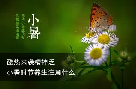 二十四节气小暑 二十四节气新解：小暑禁忌早知道(组图)