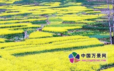 凉山州越西县 凉山州越西县加快推进农业供给侧改革的启示
