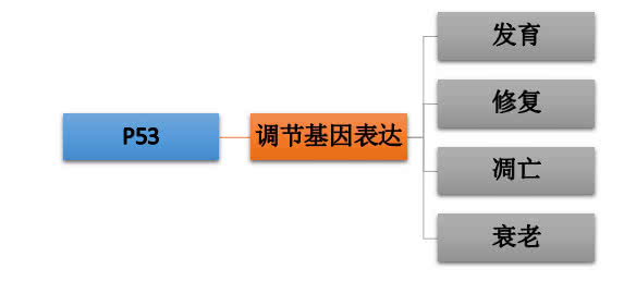 重新认识一下的说说 癌症的重新认识
