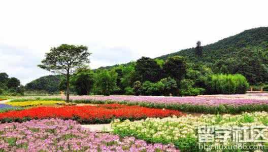 广东春游好去处 广东春游推荐的好去处