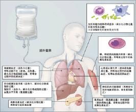 男同胞 喝酒要限量，这个量是多少？男同胞们，您知道吗？