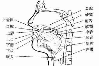 口腔共鸣练习