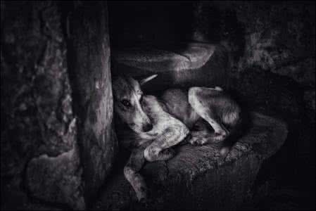 叠石表演出彩配乐 闫璐专栏 如何给图片配上合适而出彩的文字