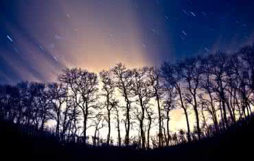 生命不可重来是可悲的 死亡并不可悲、生命亦不可喜