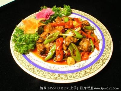 农家小炒菜谱 农家小炒精品菜谱540(中)