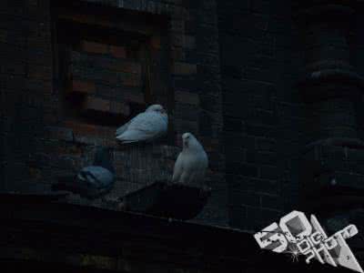 过曝暗房 为什么照片老是过曝或过暗呢？