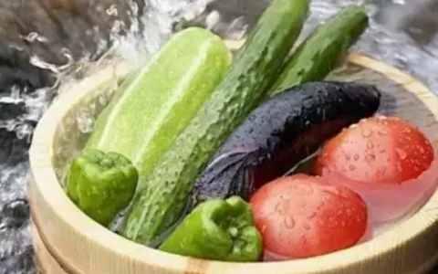 不易生虫的蔬菜 蔬菜不易长时间浸泡