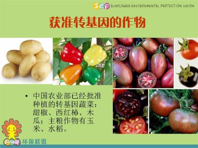 如何辨别转基因食品 教你分辨常见转基因食品