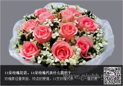 玫瑰花语每朵代表什么 11朵玫瑰花语 11朵玫瑰花语 11朵玫瑰代表什么