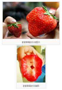 如何辨别激素草莓 如何辨别“激素草莓”
