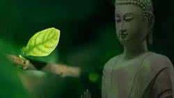 中国最美的禅诗 最美的9首禅诗,看完心情骤然宁静