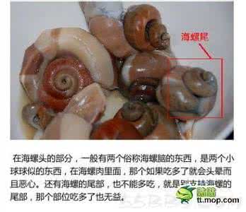 大海螺哪些部位不能吃 大海螺哪些部位不能吃 海螺能吃吗？海螺哪些部位不能吃
