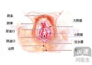 女童外阴瘙痒会自愈 女童外阴瘙痒是怎么回事