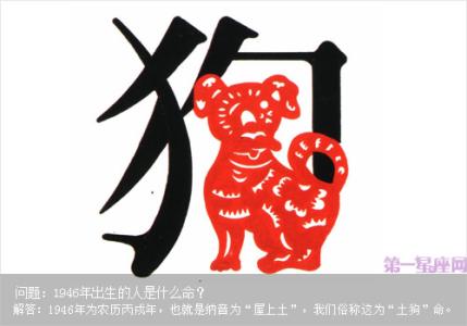 十二生肖趣谈 十二生肖都是什么命、十二生肖趣谈猫来穷，狗来富