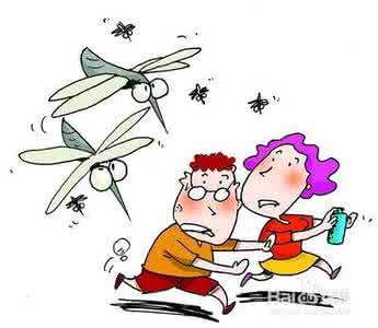 防下水道蚊虫妙法 防蚊虫 的好办法,值得一试