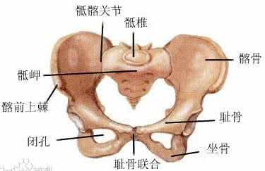 骶髂关节松动症 骶髂关节松动症 翻滚吧!骶髂关节!——骶髂关节松动