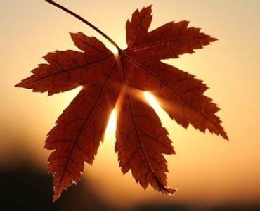 关于眼睛词句 林夕那些让人哭红了眼睛的词句，句句倾城