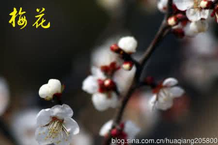 精辟名言 人世间最精辟的名言警句(三七五)