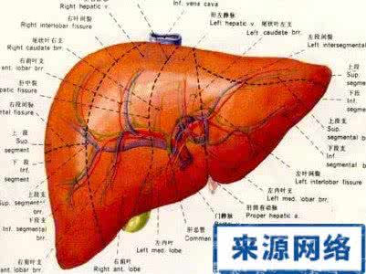 肝癌 头晕 肝癌会头晕吗 怎么治疗