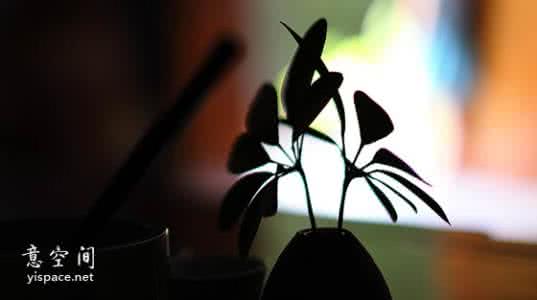 越努力越幸运 2014年的经典人生感悟:人生,越努力,越幸运。