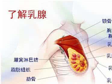 乳腺癌晚期还能活多久 乳腺癌晚期 乳腺癌晚期还能活多久