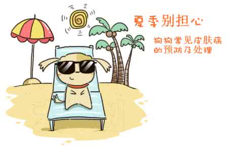 新手养狗五大忌 新手养狗五大忌 养兰“十”大忌,新手必看!