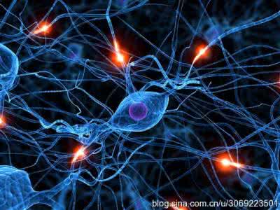 成瘾的脑神经机制 脑神经细胞受损怎么办 脑神经细胞产生机制被揭示