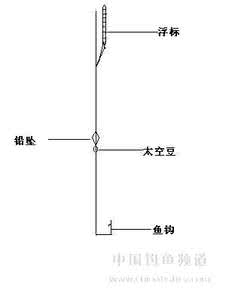 传统钓线组 原创 我的传统钓线组（傻瓜钓鱼法）|传统钓法