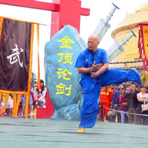 武林群侠传绝技 武林绝技(下册)