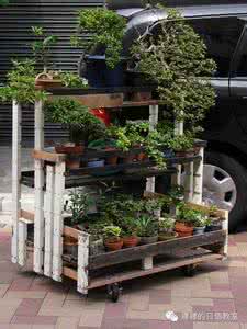 阳台种什么花好打理 【画册】日本寻常人家的阳台是如何打理的？