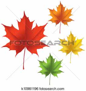 手工编织棉鞋花样图案 收藏 枫树叶花、手工编织花样图案图解,花样花型图案图解、快乐编织论坛