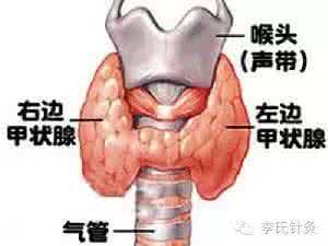 老年皮肤瘙痒症治疗 中医药治疗老年性皮肤瘙痒症