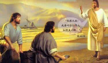 简述真菌的六大特征 真门徒的六大特征