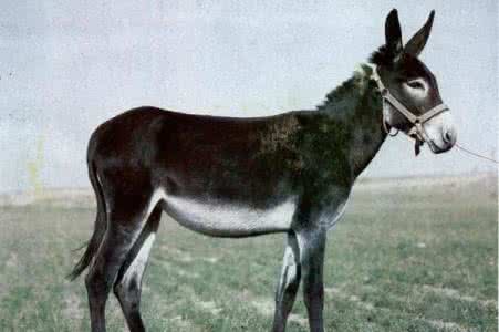 谨言慎行 谨言慎行,看清自己非常重要!