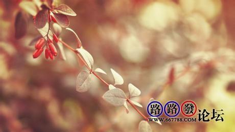 浅秋官方旗舰店 文字在浅秋里凝香