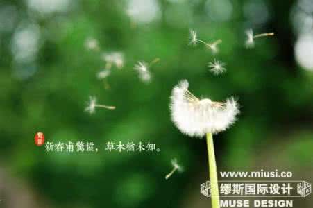 震惊!惊蛰习俗与家居开运小秘诀