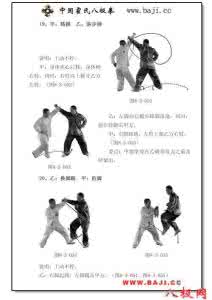 八极门 八极对接