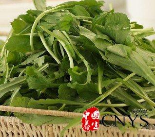 野菜营养好教案 小班健康教案:野菜营养好