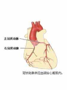 心血管堵塞的原因 心血管堵塞原因 心血管堵塞的原因是什么？