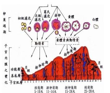 月经期间清洗 女性月经期间可以清洗阴部吗