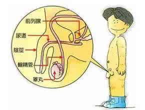 射精后腰两侧不舒服 对于男性来说如何射精最舒服